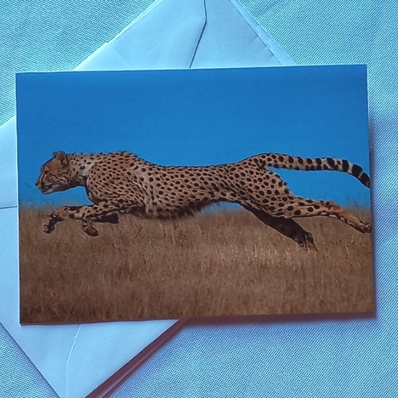 🅓🅞🅝🅐🅣🅔🅓! - Picture 6 of 7